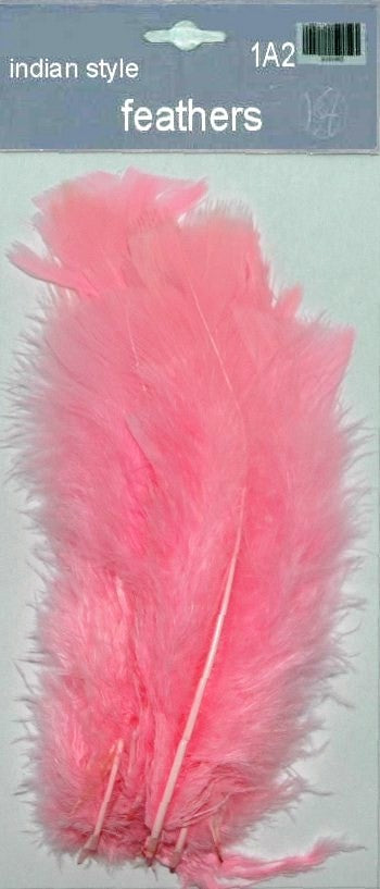 Indian Feathers