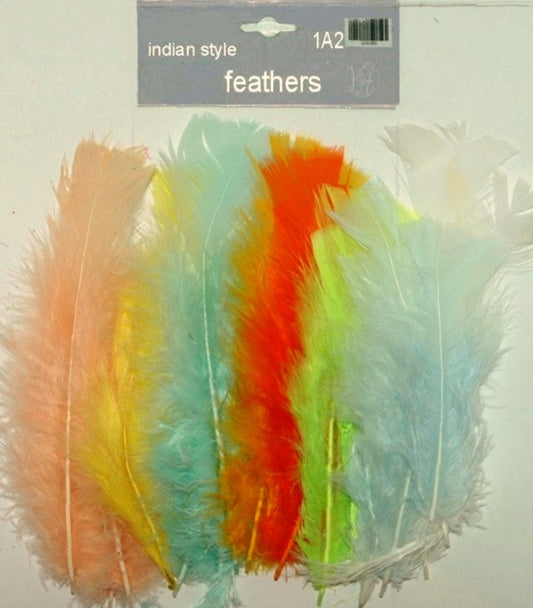 Indian Feathers