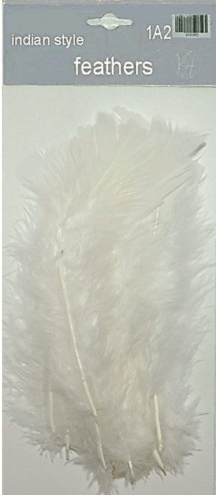 Indian Feathers