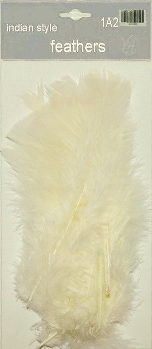 Indian Feathers