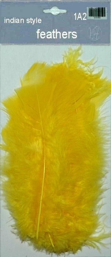 Indian Feathers
