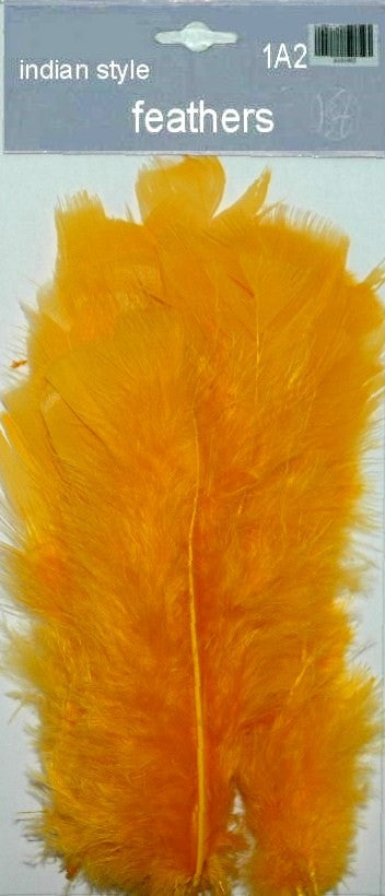 Indian Feathers