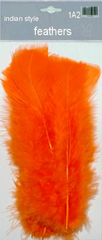 Indian Feathers