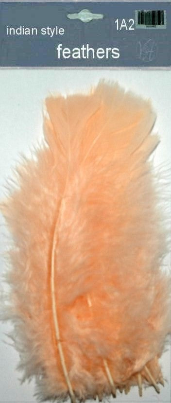 Indian Feathers