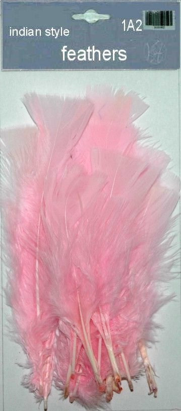Indian Feathers