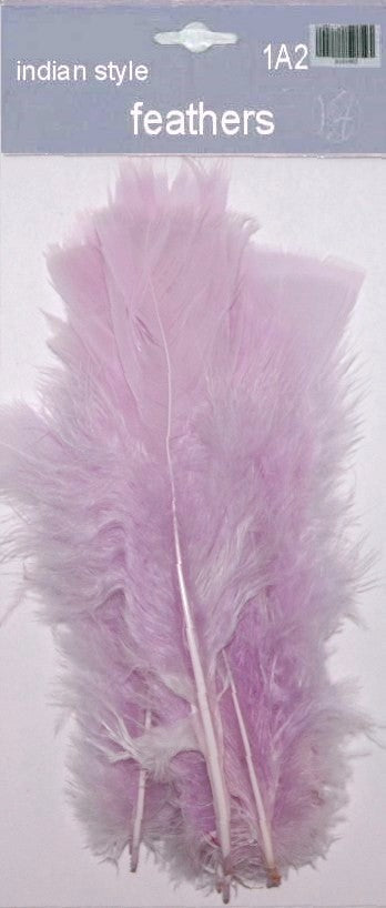 Indian Feathers