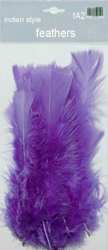 Indian Feathers