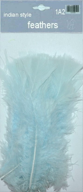 Indian Feathers