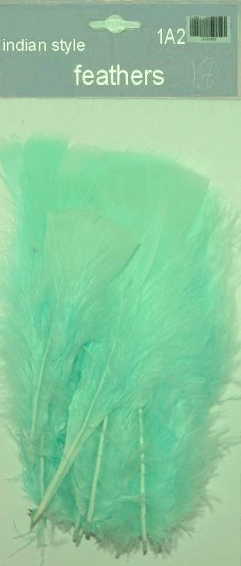 Indian Feathers