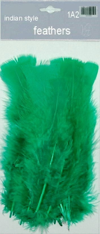 Indian Feathers