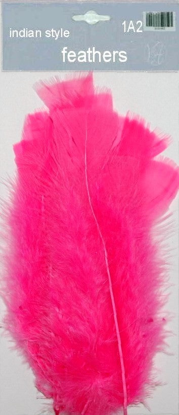 Indian Feathers