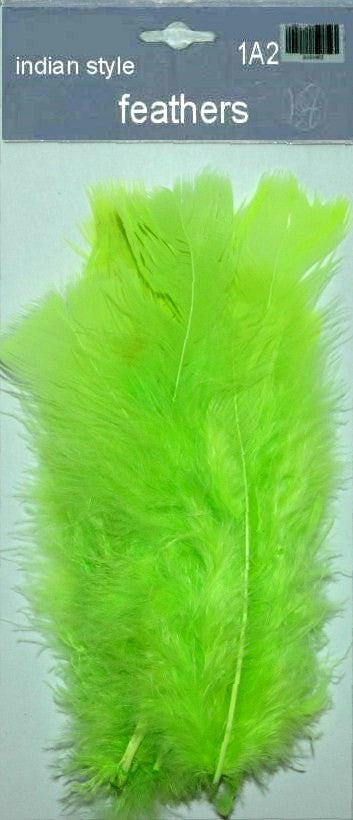 Indian Feathers