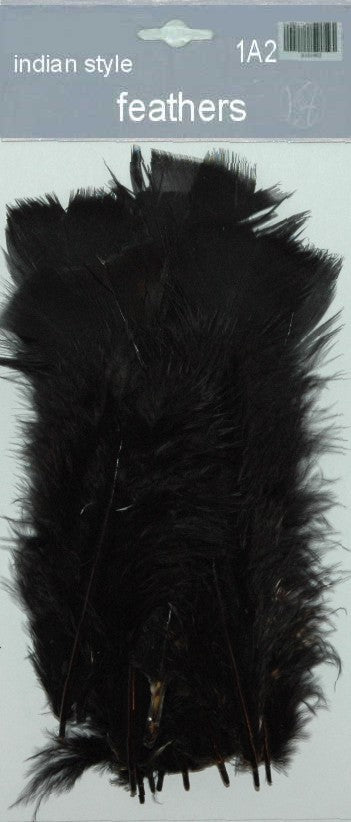 Indian Feathers