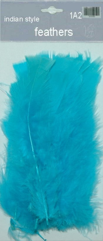 Indian Feathers