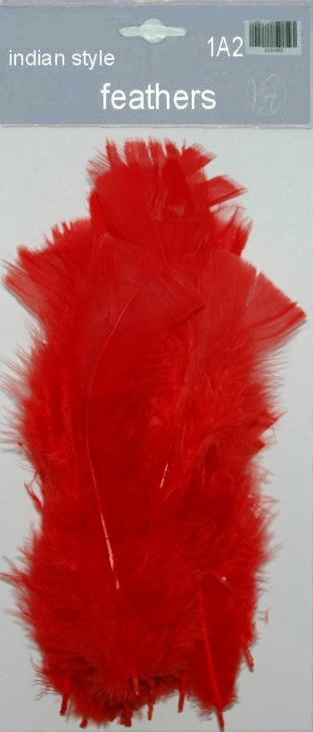 Indian Feathers