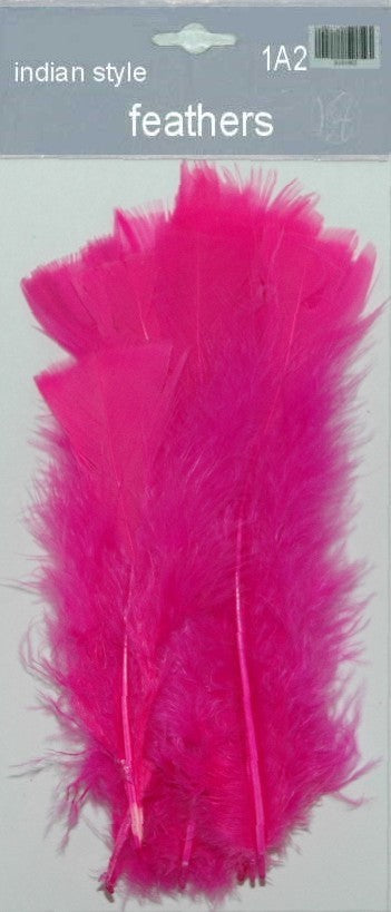 Indian Feathers