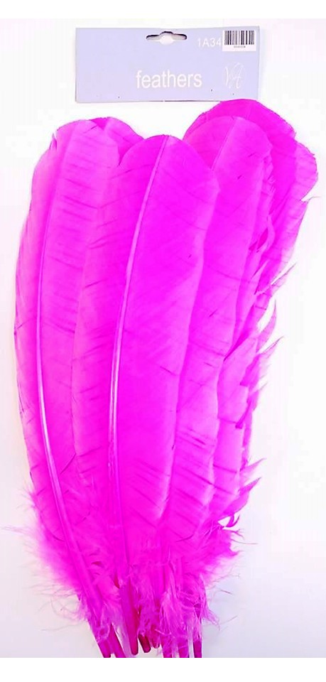 Large Feathers