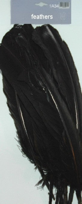 Large Feathers