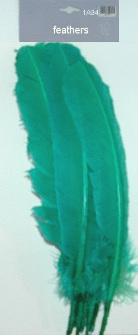 Large Feathers
