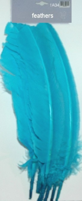 Large Feathers