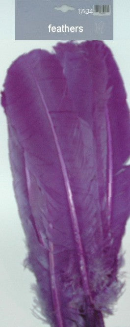 Large Feathers