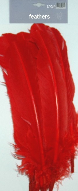 Large Feathers