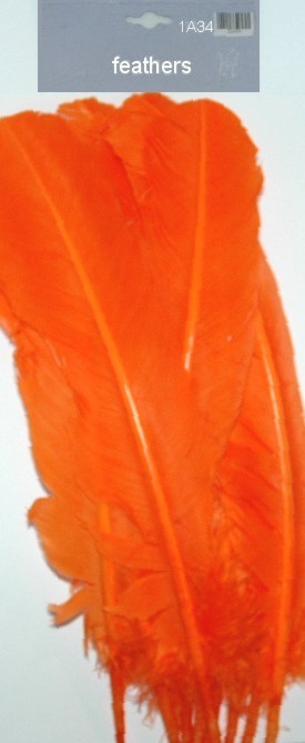 Large Feathers