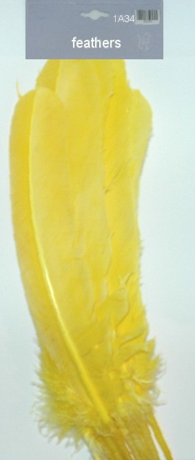 Large Feathers