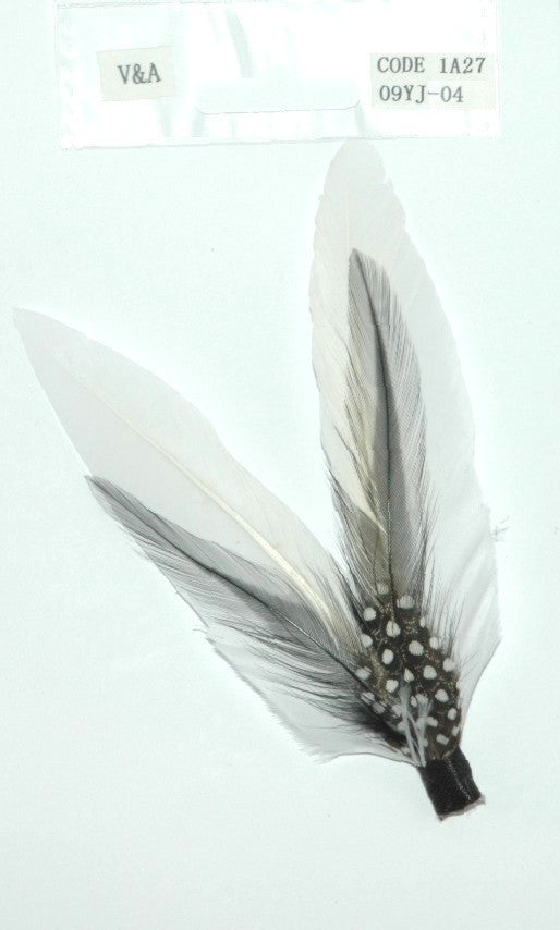 Pre Packed Funky Corsage Feathers