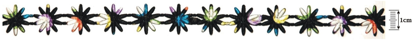 Multi-Coloured Braids