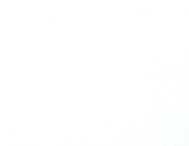 Dress Net
