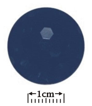 Faceted Round Shank